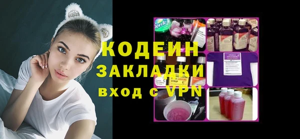стаф Осинники