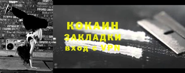 гашик Дмитриев