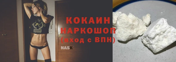 гашик Дмитриев