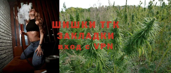 гашик Дмитриев