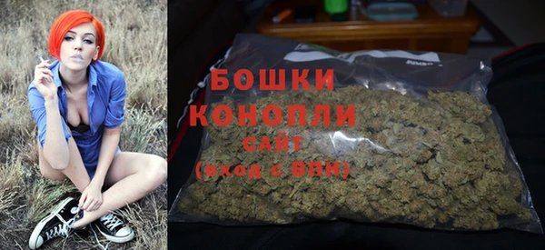 мет Дмитров