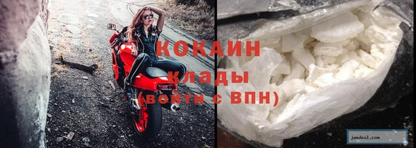 гашик Дмитриев