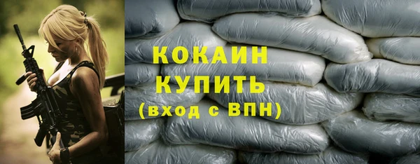 гашик Дмитриев