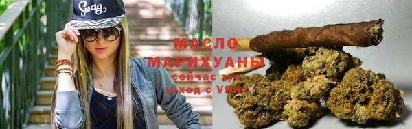 гашик Дмитриев