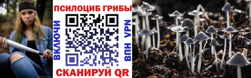 omg как войти  Ермолино  Галлюциногенные грибы Magic Shrooms 